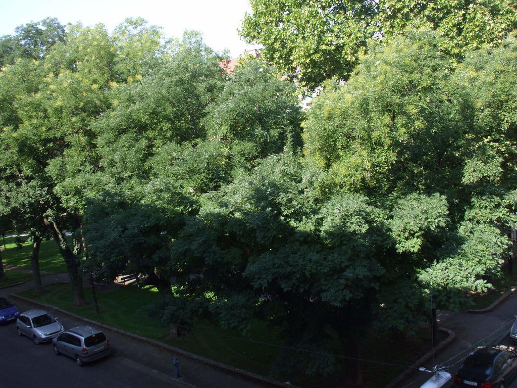 Appartement St. Leonhard Graz Kültér fotó